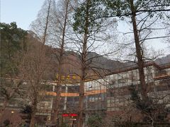 -宁海森林温泉