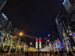 -合景·悠方(成都店)