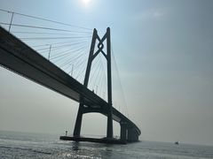 -招商蛇口邮轮母港(观光客运)