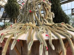 -南通洲际绿博园