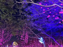 -厦门园林博览苑