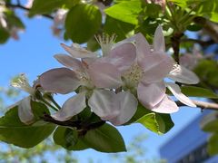 -星湖街(地铁站)