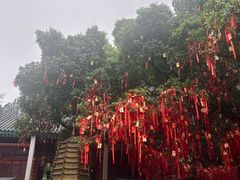 -国恩寺