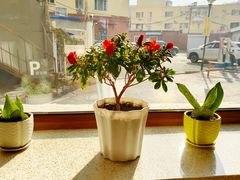 -榆林镇筋饼(文端总店)