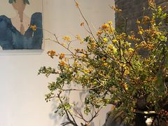 -曲廊院(东四十一条店)