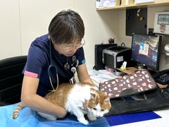 -美联众合爱康动物医院•复杂内科•肿瘤科•牙科•腔镜诊疗中心