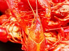 -段氏龙虾·烧烤·烤鱼(东书房路店)