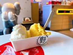 -野人牧坊Gelato(天津南开大悦城店)