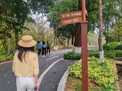 -中山市树木园