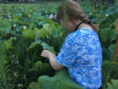 -渭南桃花源民俗文化园