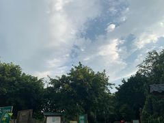 -神仙树公园