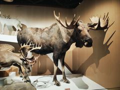 -陕西自然博物馆