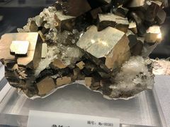 -湖南省地质博物馆