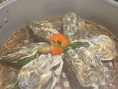 -千岛蚝高压锅生蚝·人参火锅(白云万达店)