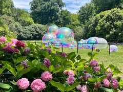 -上海共青森林公园