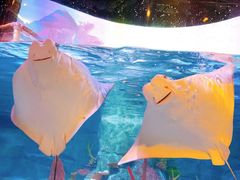 -沈阳海洋探索中心