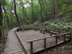 -北京上方山国家森林公园