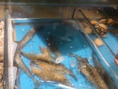 -加餐海鲜自助(宝龙一城店)