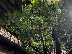 -绿茶餐厅(乐峰广场店)