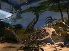 -自贡恐龙博物馆