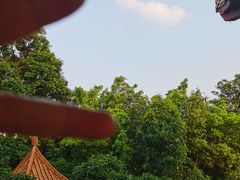 -深圳龙潭公园