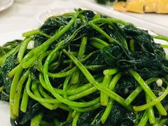 -金瑞轩大酒楼·顺德鱼生·粤菜海鲜(东江国际店)