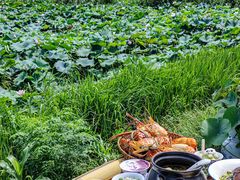 -七的湖·晚芳亭·阳澄湖农家菜·大闸蟹(莲花岛店)