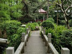 -广州兰圃
