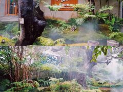 -Chom Cafe and Restaurant