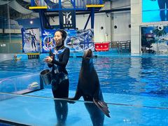 -合肥海洋世界