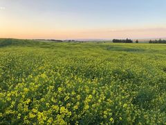 -扁都口生态休闲旅游区