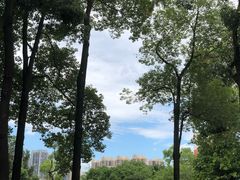 -四川大学(望江校区)
