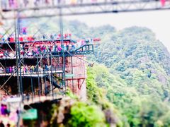 -梦幻奥陶纪景区