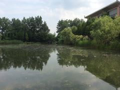 -溱湖国家湿地公园