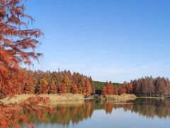 -七宝老街-停车场