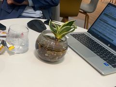 -抱德·潮汕味(琶洲店原惠城鱼仔)