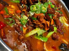 香辣牛筋头巴脑锅-95号酱骨·一块豆腐(展春园西路店)