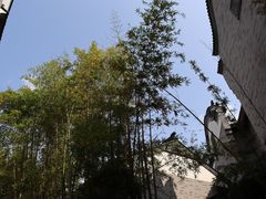 -龙潭水乡