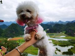 -普者黑风景区-青龙山