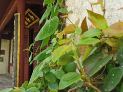 -宁波市保国寺古建筑博物馆