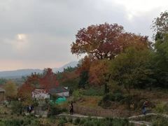 -塔川景区