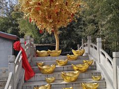 -红螺寺