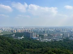 -杭州半山国家森林公园