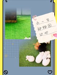 -萌宠亲子动物乐园(槐房万达店)