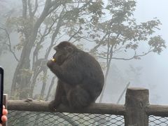 -峨眉山风景名胜区