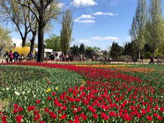 -国家植物园南园