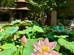 -罔极寺