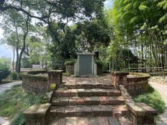 -八大山人梅湖景区