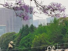 -红星桥(地铁站)