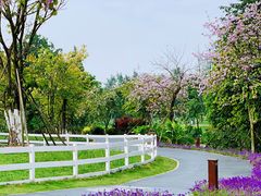 -桤木河湿地公园